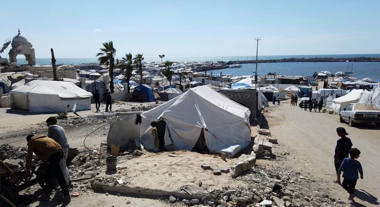 Thousands of displaced Palestinians are living in tents on the beach by Gaza's seaport.